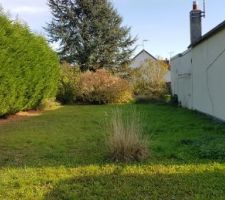 Superficie du terrain 382m2
longeur 39m
largeur 10m