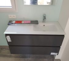 Meuble de SdB parentale