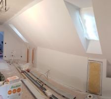 Peinture de la mezzanine