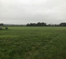 Visite du terrain pour projet de construction. Parcelle de 1885m², il y a de la place !