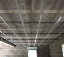 Rail plafond
