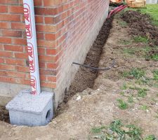 Pose du dernier puisard à l'arrière de la maison et début de tranchée