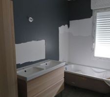 Installation de nos meubles et des vasques dans la salle de bain
