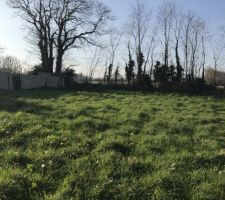 Voici notre terrain.