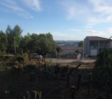 Vue que nous avons actuellement de notre terrain