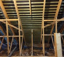 Pose des velux par mes soins .