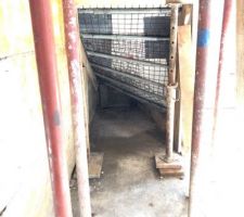 Escalier, en cours de sèche.