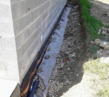 Delta MS et drain -4