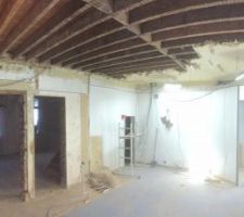 Démontage de la bourre au plafond