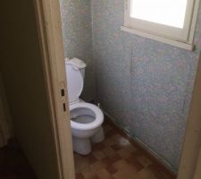 Vue sur les WC présent dans la seconde pièce de l'extension ...