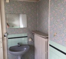 Pr&eacute;sentation de la troisi&egrave;me pi&egrave;ce de l'extension ... 
Cette pi&egrave;ce comporte un point d'eau (&eacute;vier et baignoire + lavabo ) ...