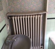 Pr&eacute;sentation de la troisi&egrave;me pi&egrave;ce de l'extension ... 
Cette pi&egrave;ce comporte un point d'eau (&eacute;vier et baignoire + lavabo ) ...