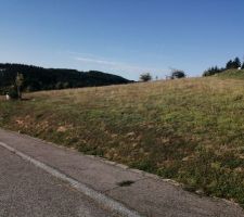 Photo du bas de ma parcelle orient&eacute;e nord