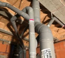 Mon arbre des évacuations...