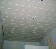 Plafond salle de bain suite parentale