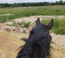 Et voil&agrave; juste pour le fun je suis all&eacute;e voir "mon" terrain avec mon cheval...