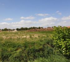 Am&eacute;nagement terrain