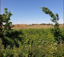 Am&eacute;nagement terrain