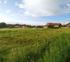 Terrain Artis commune de Trossy Vue du sol