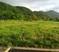 Terrain Artis commune de Trossy Vue du sol