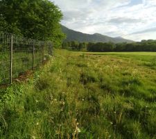 Terrain Artis commune de Trossy Vue du sol