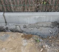 Notre terrain étant en pente, nous souhaitons avoir un jardin plat, pour ce faire pose de bordure en limite de propriété, la terre sera ré-étalée dans 3 semaines !