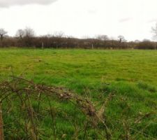 Terrain = 1042m&sup2;