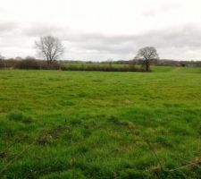 Terrain = 1042m&sup2;