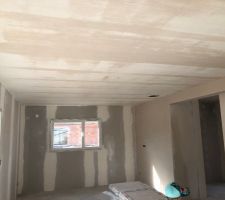 Platre au flafond et murs porteurs