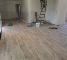 Carrelage pièce de vie
