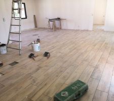 Carrelage pièce de vie