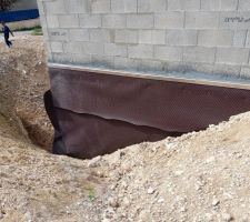 Pose membrane Delta MS