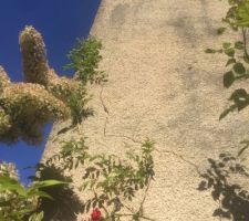 Fissure plus ou moins verticale le long du conduit de chemin&eacute;e et oblique &agrave; partir de mi hauteur en descendant.
expertise pr&eacute;conise'
ouverture &agrave; la disqueuse de la fissure (5cm de large et 10cm de profondeur
m&ecirc;me d&eacute;coupe perpendiculairement &agrave; la fissure tout les 50cm pour pose d'agrafe et rebouchage au mortier.