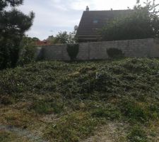 Nettoyage du terrain