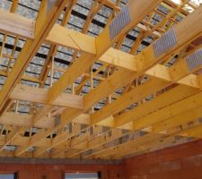 Début pose film HPV