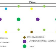 Plan d'implantation pour le talus