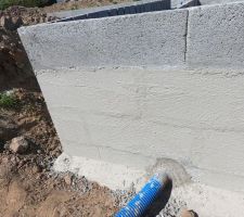 Vide sanitaire du 19 au 26 mai