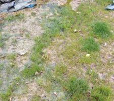 Eau stagnante suite à un terrassement médiocre...