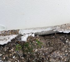 Le tour de maison s'est effondré ! encore un peu plus......