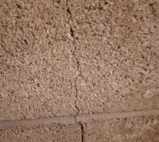 Jardin fissure traversante vers jardin