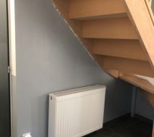 Apr&egrave;s 5 ans dans la maison, je commence &agrave; repeindre.
J'avais mis du blanc mat partout pour que ce soit propre et plus simple, maintenant je passe au satin&eacute; et "bi-couleur" pour l'entr&eacute;e, le couloir du bas et la cage d'escalier.