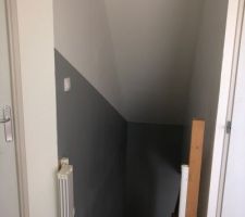 Après 5 ans dans la maison, je commence à repeindre.
J'avais mis du blanc mat partout pour que ce soit propre et plus simple, maintenant je passe au satiné et "bi-couleur" pour l'entrée, le couloir du bas et la cage d'escalier.