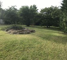 Cabanon en brique .. ancien poulailler de 15m2