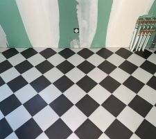Pose carrelage buanderie OK !
Effet vintage qui me plait bien :-)))