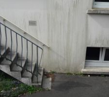 Vue de l'escalier en façade sud, avec la fenêtre du sous-sol