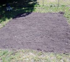 Terrain