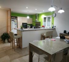 Vue depuis "entre le salon et la salle à manger" (derrière moi, il y a le poêle à bois)