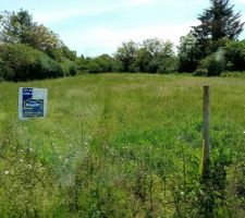 COVID 19 retard au démarrage... la nature pousse pousse...