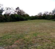 Après quelques heures de tonte et débrousaillage...