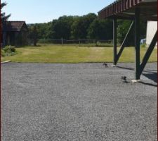 Petite photo du terrain